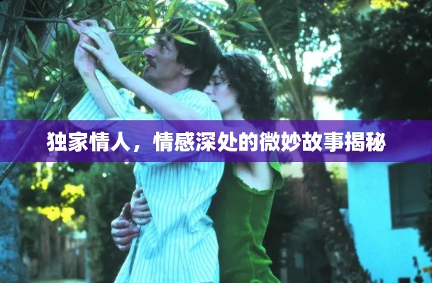 独家情人，情感深处的微妙故事揭秘