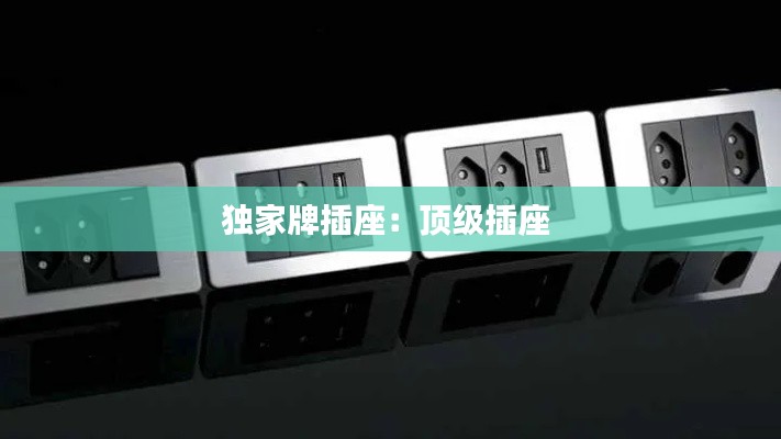 独家牌插座:顶级插座