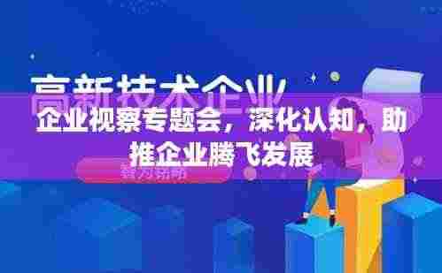 企业视察专题会,深化认知,助推企业腾飞发展