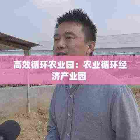 高效循环农业园:农业循环经济产业园