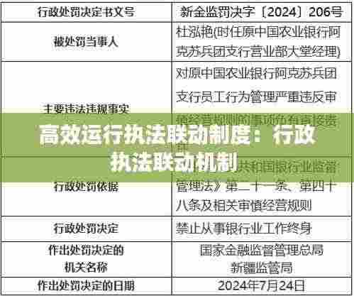 高效运行执法联动制度：行政执法联动机制 