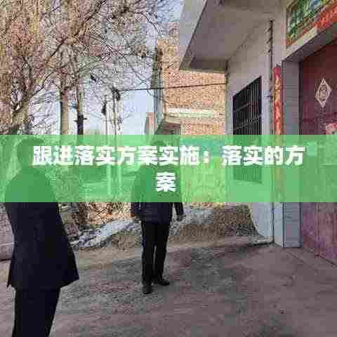 跟进落实方案实施:落实的方案