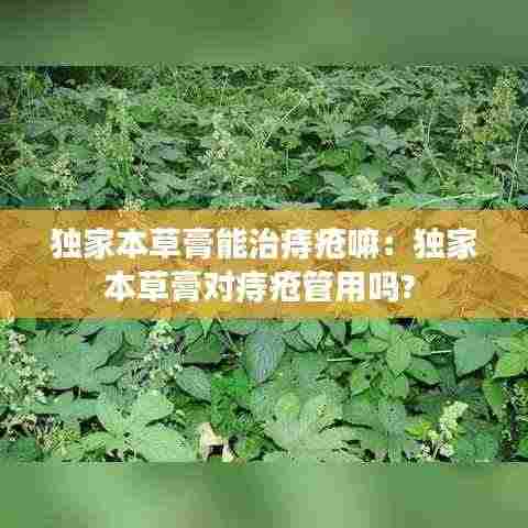 独家本草膏能治痔疮嘛:独家本草膏对痔疮管用吗?