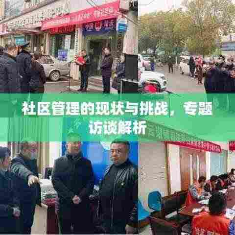 社区管理的现状与挑战,专题访谈解析