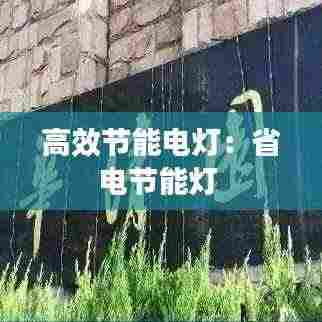 高效节能电灯:省电节能灯