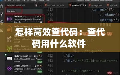 怎样高效查代码:查代码用什么软件