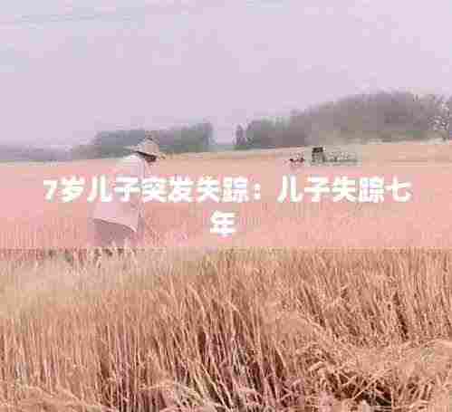 7岁儿子突发失踪：儿子失踪七年 