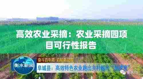 高效农业采摘：农业采摘园项目可行性报告 
