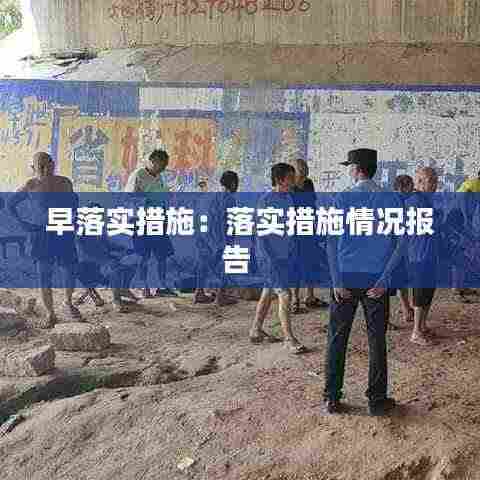 早落实措施：落实措施情况报告 