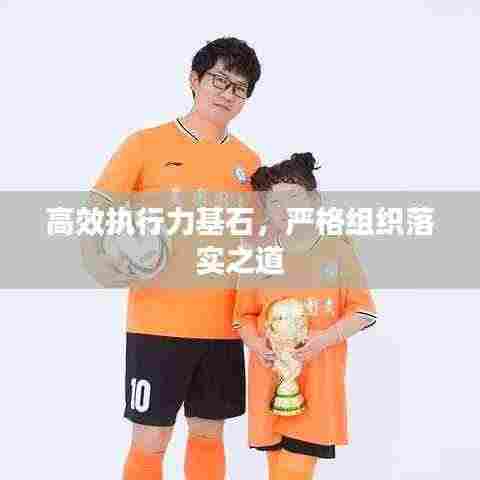 高效执行力基石,严格组织落实之道