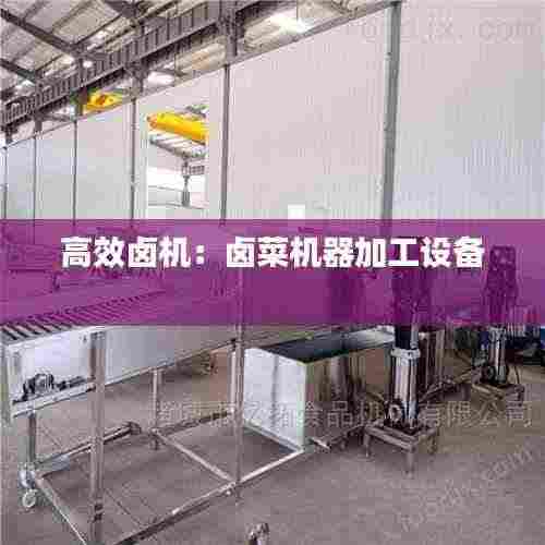 高效卤机：卤菜机器加工设备 