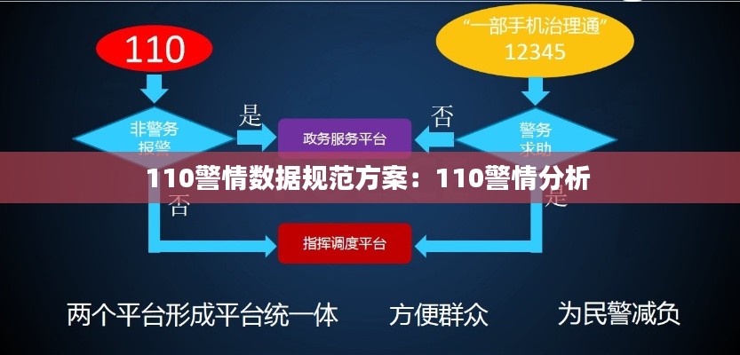 110警情数据规范方案:110警情分析