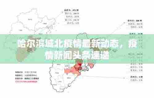 哈尔滨城北疫情最新动态，疫情新闻头条速递