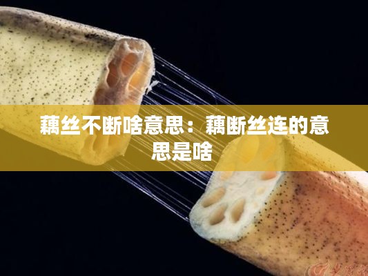 藕丝不断啥意思:藕断丝连的意思是啥