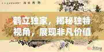 鹤立独家,揭秘独特视角,展现非凡价值探索