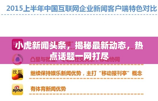 小虎新闻头条,揭秘最新动态,热点话题一网打尽