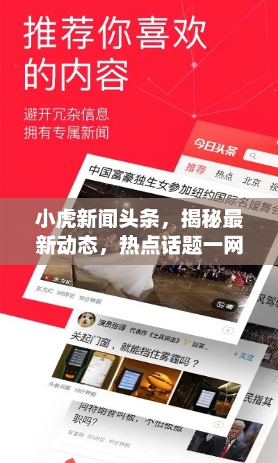 小虎新闻头条,揭秘最新动态,热点话题一网打尽