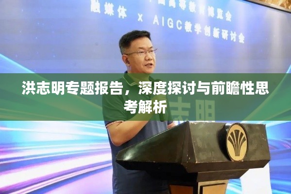 洪志明专题报告,深度探讨与前瞻性思考解析