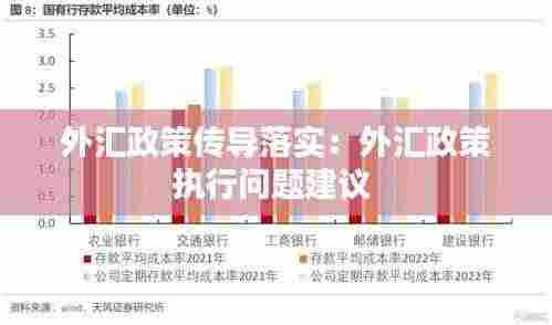 外汇政策传导落实：外汇政策执行问题建议 