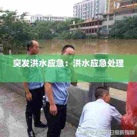 突发洪水应急:洪水应急处理