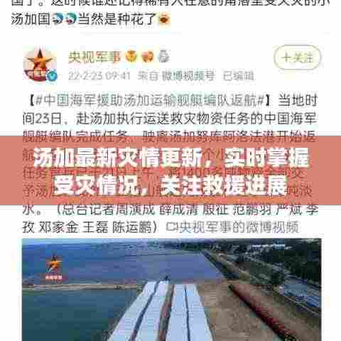 汤加最新灾情更新,实时掌握受灾情况,关注救援进展