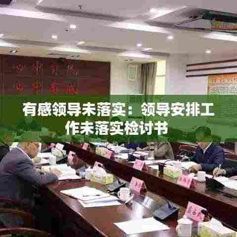有感领导未落实：领导安排工作未落实检讨书 