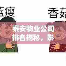 泰安物业公司排名揭秘,影响力与服务质量一览