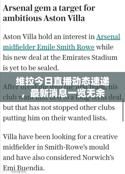 维拉今日直播动态速递,最新消息一览无余