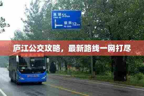 庐江公交攻略,最新路线一网打尽