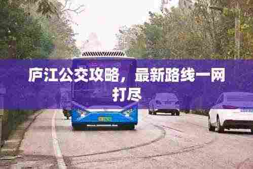 庐江公交攻略,最新路线一网打尽