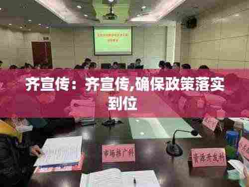齐宣传:齐宣传,确保政策落实到位