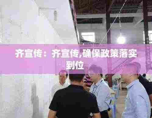 齐宣传:齐宣传,确保政策落实到位