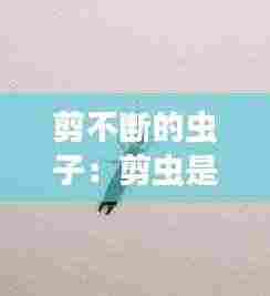 剪不断的虫子：剪虫是什么虫 