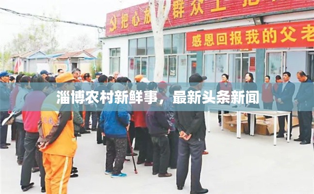 淄博农村新鲜事，最新头条新闻