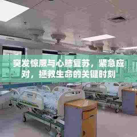 突发惊厥与心肺复苏，紧急应对，拯救生命的关键时刻