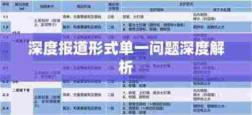 深度报道形式单一问题深度解析