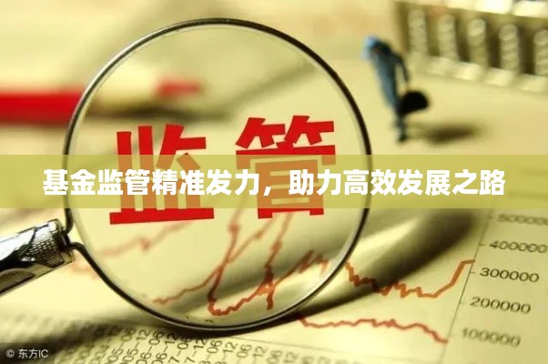 基金监管精准发力,助力高效发展之路