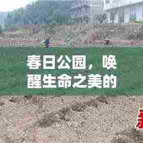 春日公园，唤醒生命之美的醉人画卷