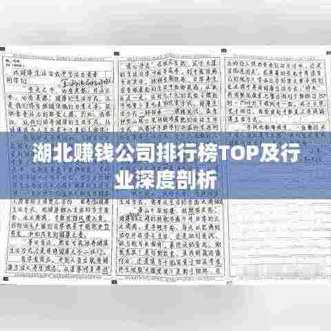 湖北赚钱公司排行榜TOP及行业深度剖析