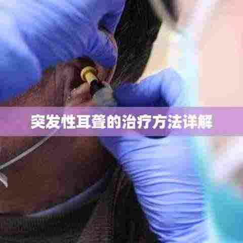 雍荣闲雅 第3页