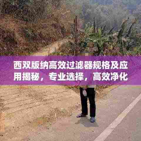 西双版纳高效过滤器规格及应用揭秘，专业选择，高效净化！