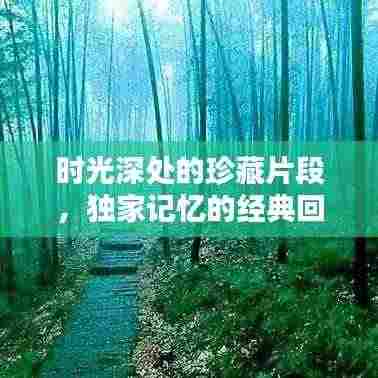 时光深处的珍藏片段，独家记忆的经典回顾