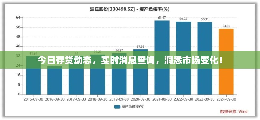 今日存货动态,实时消息查询,洞悉市场变化!