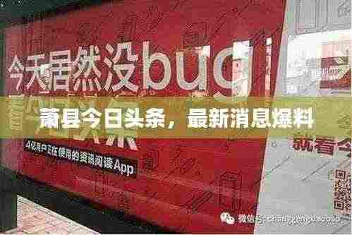 萧县今日头条,最新消息爆料