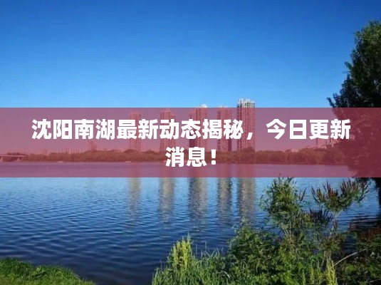 沈阳南湖最新动态揭秘,今日更新消息!