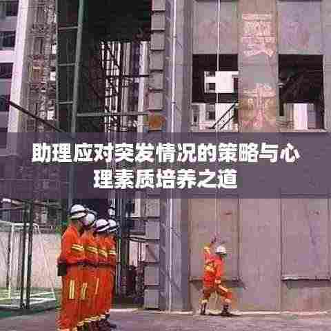 开张圣听 第4页