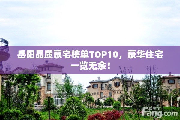 岳阳品质豪宅榜单TOP10，豪华住宅一览无余！