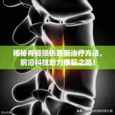 揭秘脊髓损伤最新治疗方法,前沿科技助力康复之路!