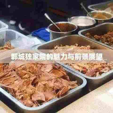 郸城独家院的魅力与前景展望