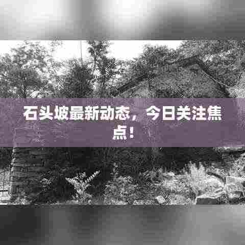 石头坡最新动态,今日关注焦点!